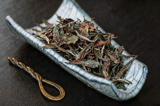 Darjeeling First Flush Black Tea