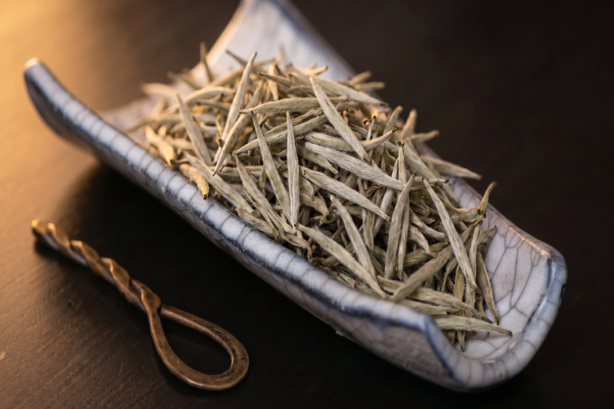 silver needle white tea